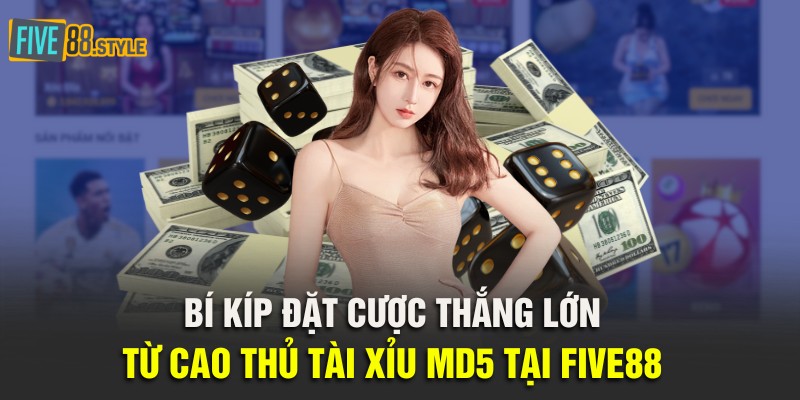 Tài Xỉu MD5 | Luật Chơi Và Bí Kíp Đặt Cược Thành Công 4 Bí kíp đặt cược thắng lớn từ cao thủ tài xỉu MD5 tại Five88