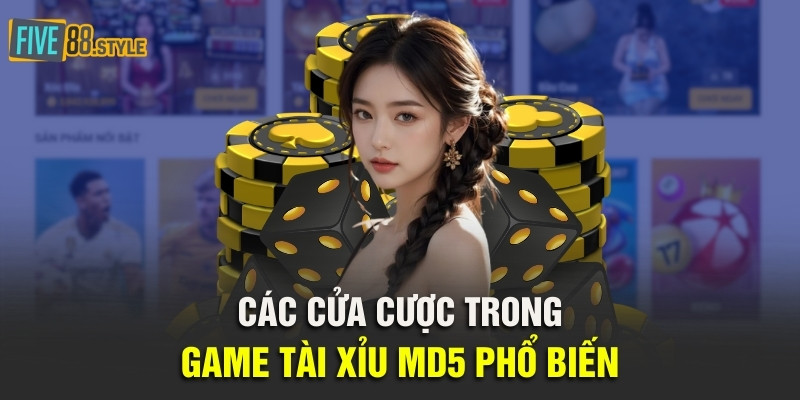 Tài Xỉu MD5 | Luật Chơi Và Bí Kíp Đặt Cược Thành Công 3 Các cửa cược trong game tài xỉu MD5 phổ biến