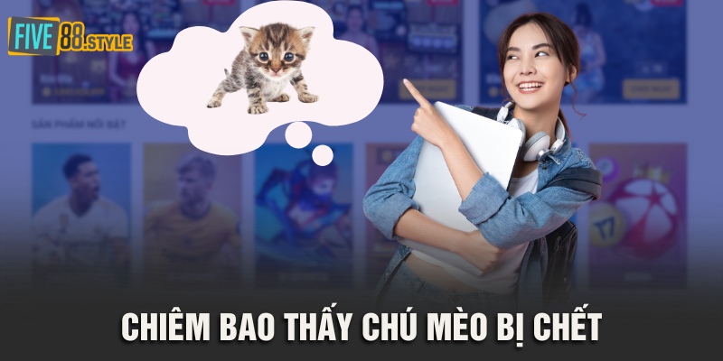 Mơ Thấy Mèo - Giải Mã Giấc Mơ Cùng Con Số May Mắn 4 Chiêm bao thấy chú mèo bị chết