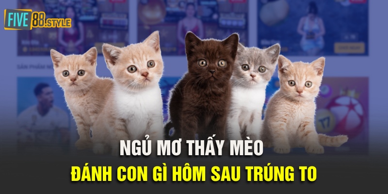 Mơ Thấy Mèo - Giải Mã Giấc Mơ Cùng Con Số May Mắn 5 Ngủ mơ thấy mèo đánh con gì hôm sau trúng to?
